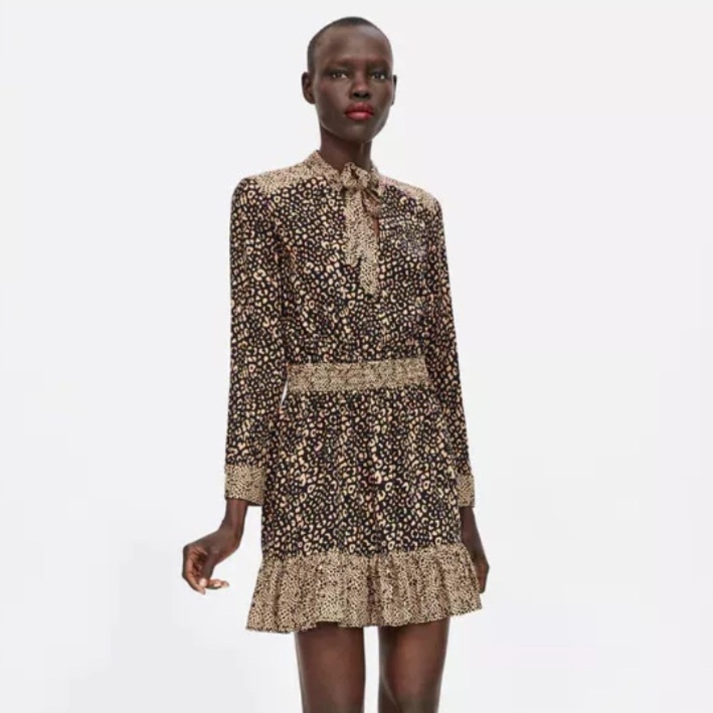 Zara leopard-print dress, size S.